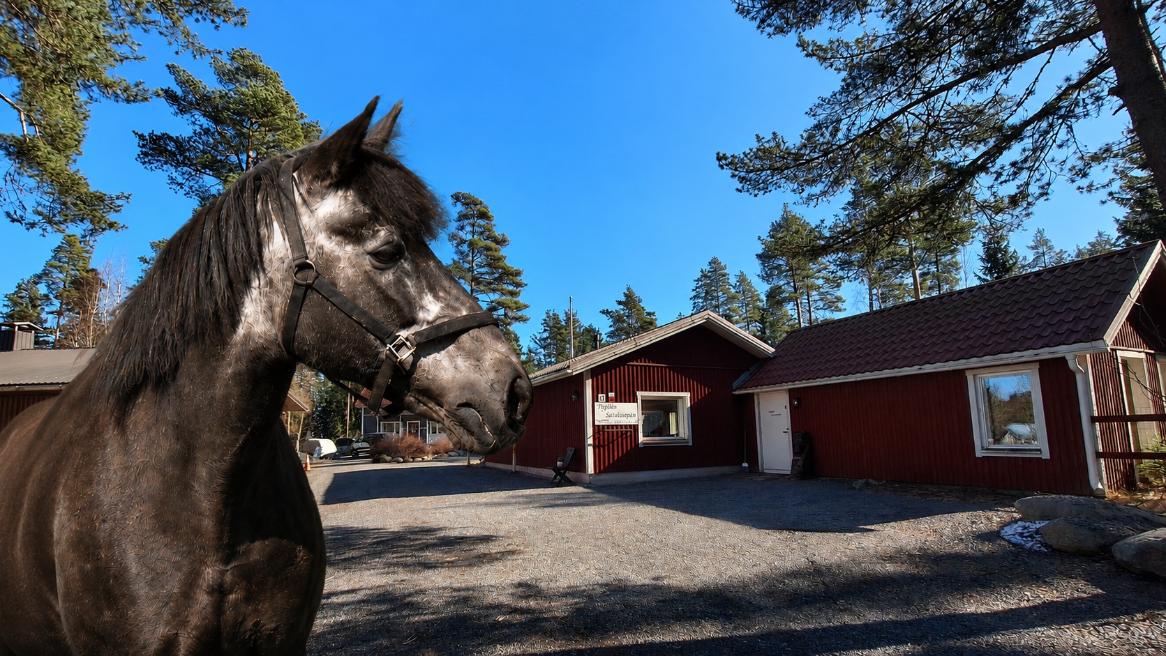 Team Satulasepät – hevonen pihalla, verstas Ypäjällä Leiritie 13